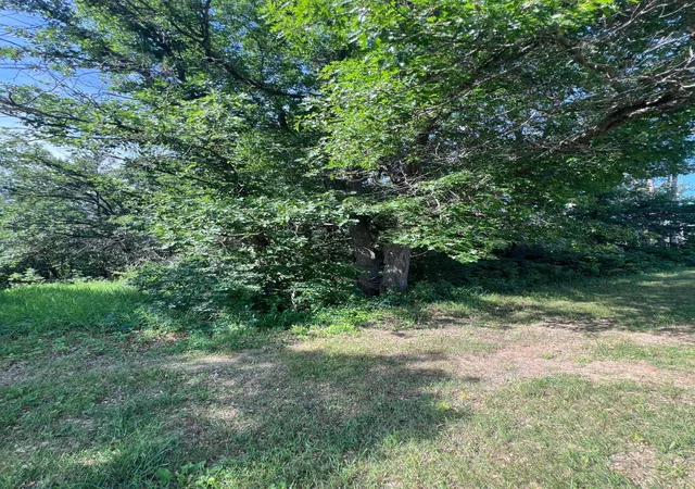 10th image of Tbd Main St E, Menahga, MN 56464 | MLS# 7106934