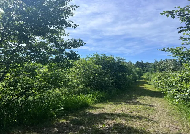 1st image of Tbd Main St E, Menahga, MN 56464 | MLS# 7106934