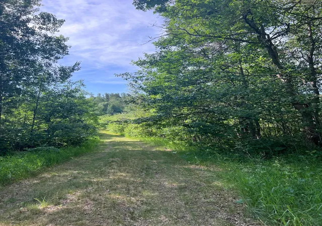 3rd image of Tbd Main St E, Menahga, MN 56464 | MLS# 7106934