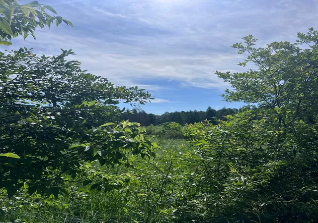 4th image of Tbd Main St E, Menahga, MN 56464 | MLS# 7106934
