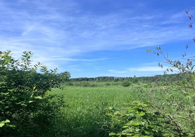 5th image of Tbd Main St E, Menahga, MN 56464 | MLS# 7106934