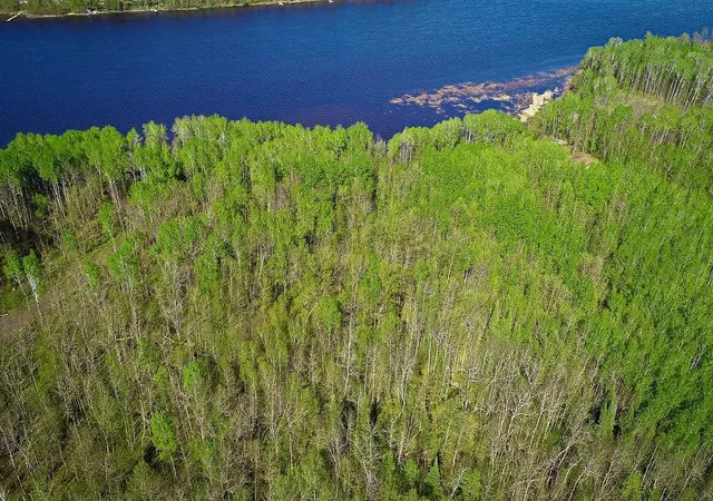 Homes for sale in Baudette, MN | Lot 11 - Tbd Driftwood Ln Nw, Baudette, MN 56623 | MLS# 7106938