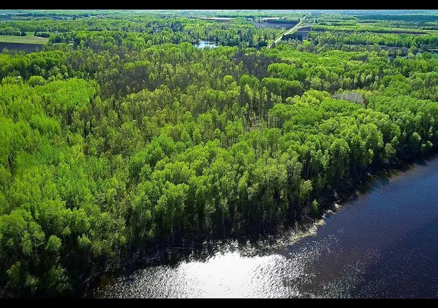 Homes for sale in Baudette, MN | Lot 11 - Tbd Driftwood Ln Nw, Baudette, MN 56623 | MLS# 7106938