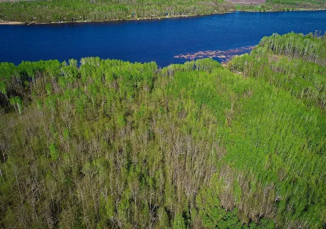 Homes for sale in Baudette, MN | Lot 12 - Tbd Driftwood Ln Nw, Baudette, MN 56623 | MLS# 7106947