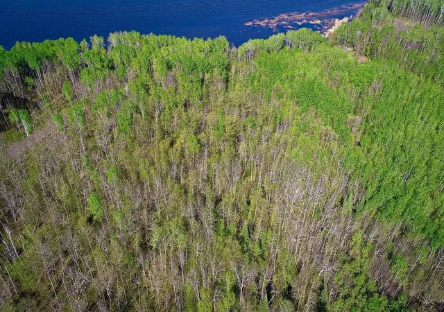 Homes for sale in Baudette, MN | Lot 12 - Tbd Driftwood Ln Nw, Baudette, MN 56623 | MLS# 7106947