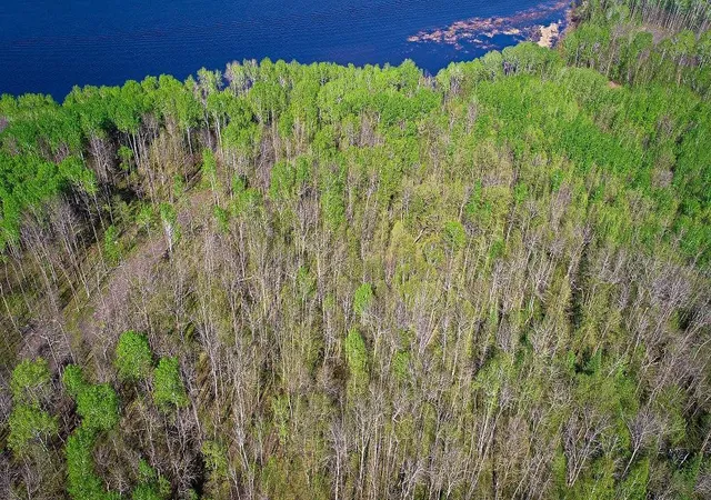 Homes for sale in Baudette, MN | Lot 12 - Tbd Driftwood Ln Nw, Baudette, MN 56623 | MLS# 7106947