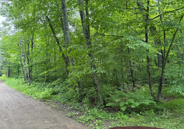 2nd image of Tbd 254th Ln, Aitkin, MN 56431 | MLS# 7107145