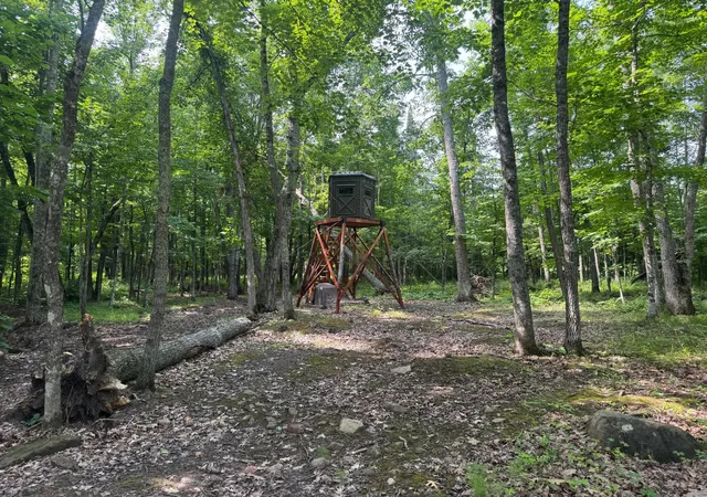 Photo 1 of Sale Pending at Xxx W Eckel Ln, Exeland, WI 54835 | MLS# 7107244 | Listing updated on 2026-10-21