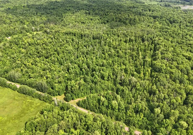 Photo 3 of Land for sale at Xxx W Eckel Ln, Exeland, WI 54835 | MLS# 7107244 | Listing updated on 2026-08-27