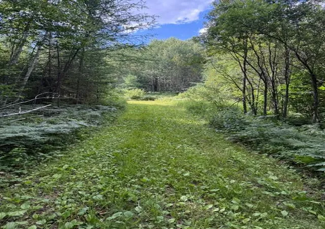 1st image of Tbd N Moose Lake Rd, Pennington, MN 56663 | MLS# 7107353