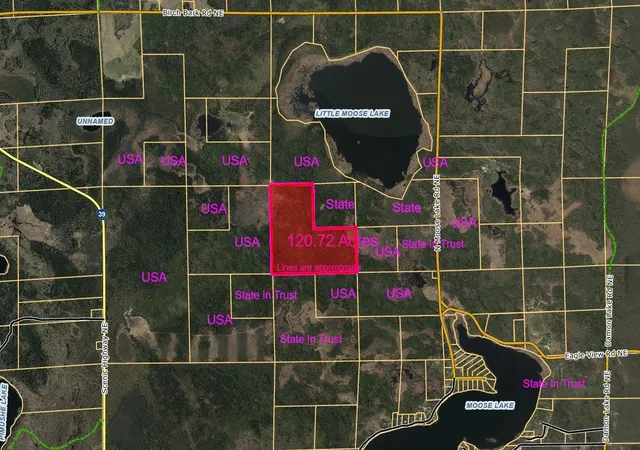 2nd image of Tbd N Moose Lake Rd, Pennington, MN 56663 | MLS# 7107353