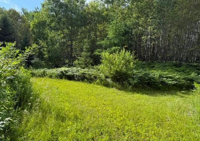 5th image of Tbd N Moose Lake Rd, Pennington, MN 56663 | MLS# 7107353