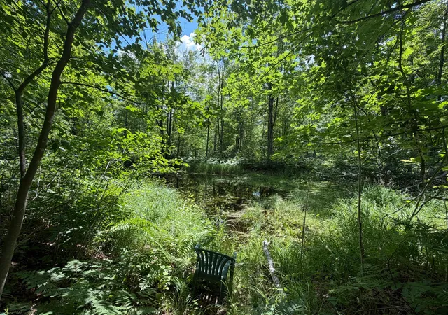 3rd image of 42680 Leigh Dr, Bruno, MN 55712 | MLS# 7107418