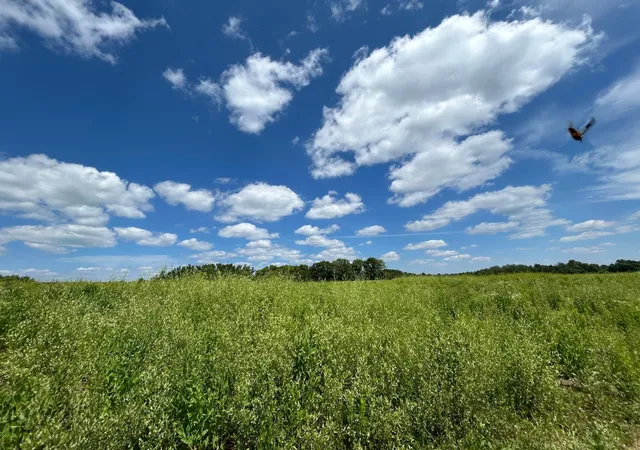 7th image of 36216 493rd Ave, New York Mills, MN 56567 | MLS# 7107648