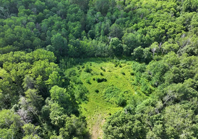 Photo 3 of Land for sale at Tbd Us 71 167 Ac, Park Rapids, MN 56470 | MLS# 7107685 | Listing updated on 2026-09-25