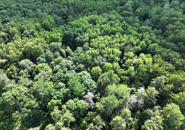 Photo 3 of Land for sale at Tbd US 71 167 Ac, Park Rapids, MN 56470 | MLS# 7107685 | Listing updated on 2026-09-25
