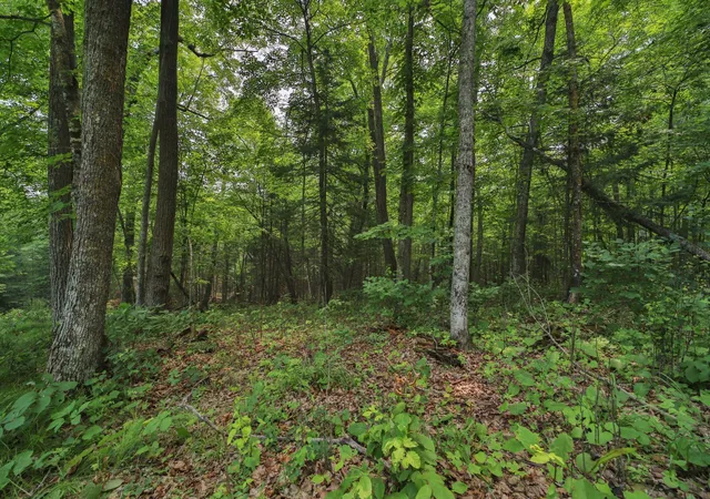 1st image of Tbd 178th Ln/garden Ln, Mc Gregor, MN 55760 | MLS# 7107815