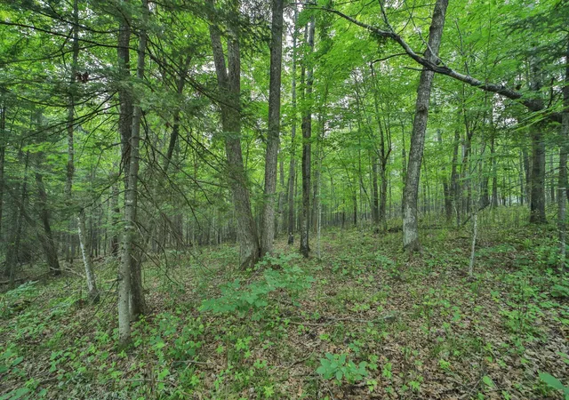 2nd image of Tbd 178th Ln/garden Ln, Mc Gregor, MN 55760 | MLS# 7107815