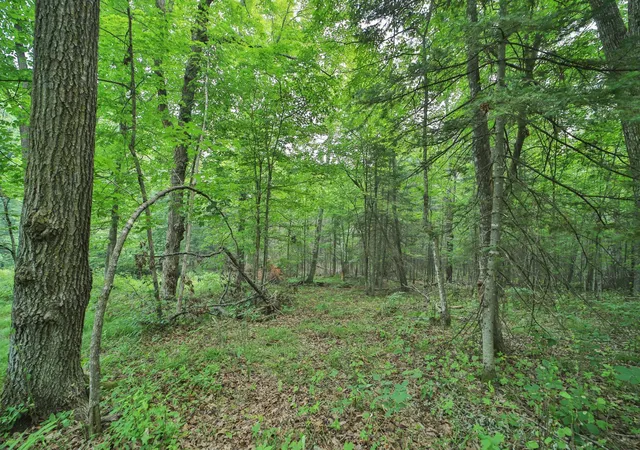 Photo 3 of Land for sale at Tbd Garden Ln, Mc Gregor, MN 55760 | MLS# 7107815 | Listing updated on 2026-07-23