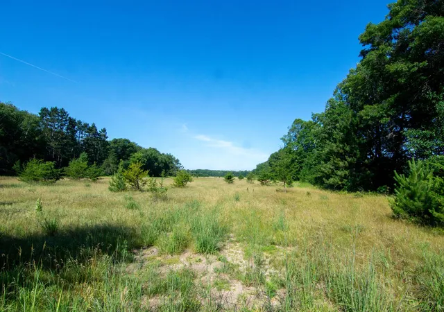 1st image of Tbd County Road 19, Merrifield, MN 56465 | MLS# 7107835
