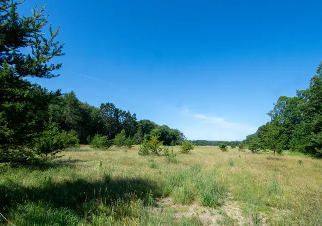 1st image of Xxx County Road 19, Merrifield, MN 56465 | MLS# 7107884