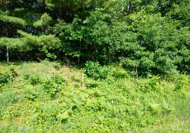 4th image of Xxx County Road 19, Merrifield, MN 56465 | MLS# 7107884