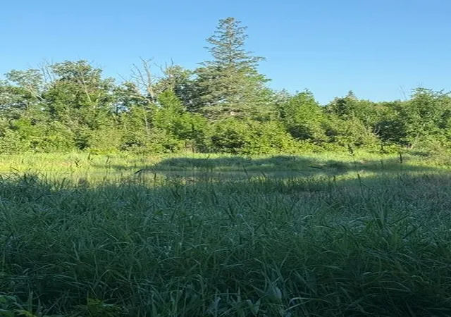 2nd image of Tbd Tbd, Pine River, MN 56474 | MLS# 7107944
