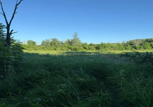 3rd image of Tbd Tbd, Pine River, MN 56474 | MLS# 7107944