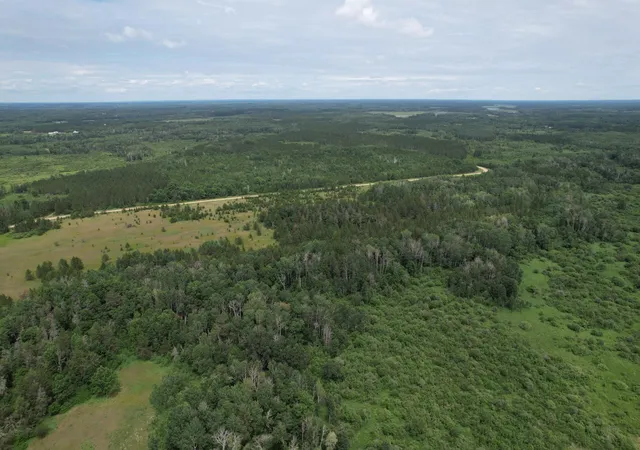 Photo 3 of Land for sale at Tbd 350th Street, Menahga, MN 56464 | MLS# 7107973 | Listing updated on 2026-07-22