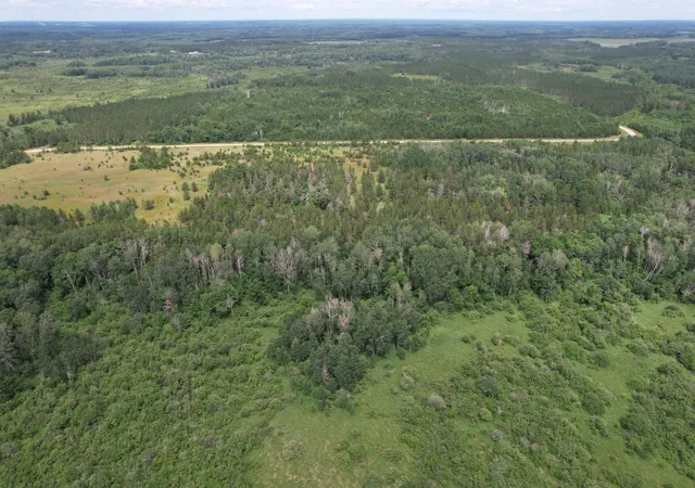 Photo 3 of Land for sale at Tbd 350th Street, Menahga, MN 56464 | MLS# 7107973 | Listing updated on 2026-07-22