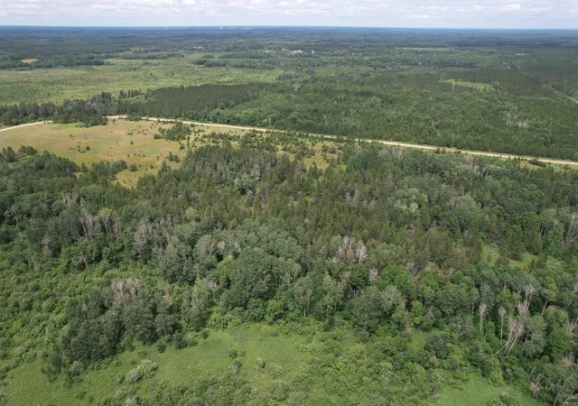 Photo 4 of Land for sale at Tbd 350th Street, Menahga, MN 56464 | MLS# 7107973 | Listing updated on 2026-07-22