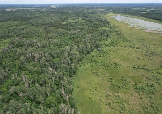 4th image of Tbdx 350Th St, Menahga, MN 56464 | MLS# 7107983