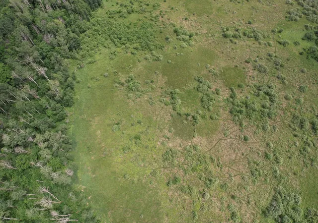 5th image of Tbdx 350Th St, Menahga, MN 56464 | MLS# 7107983