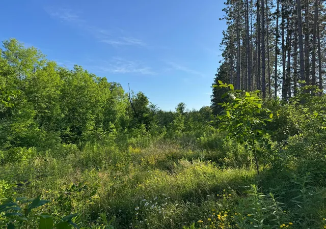 1st image of Tbd 2 N Riverside Rd, Moose Lake, MN 55767 | MLS# 7108144