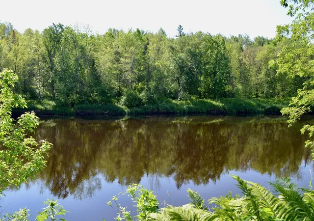 35th image of 6438 Hwy 29, Van Buren Twp, MN 55736 | MLS# 7108217