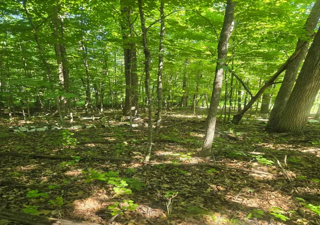 4th image of 18Xx Cozy Lodge Dr Ne, Longville, MN 56655 | MLS# 7108311