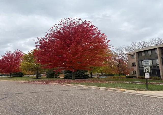 Photo 1 of Condo for sale at 4350 Brookside Ct #302, Minneapolis, MN 55436 | MLS# 7108595 | Listing updated on 2026-09-20