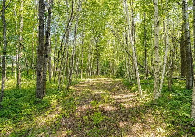 3rd image of 2592 Strandberg Rd, Barnum, MN 55707 | MLS# 7108664