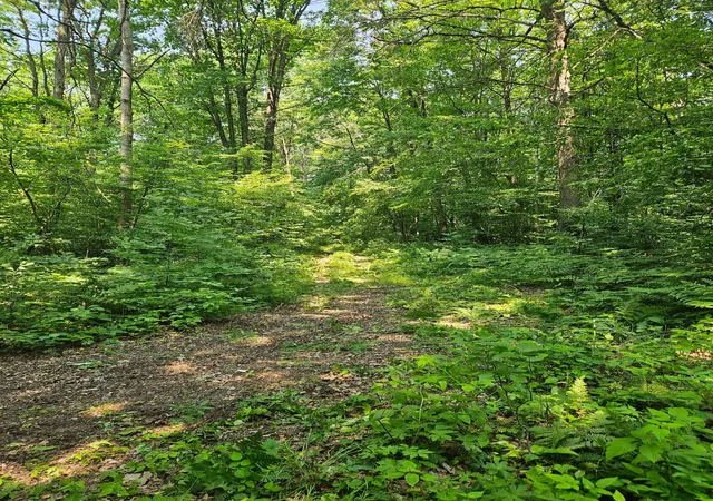 1st image of 49 Acres 16th Ave, Cameron, WI 54822 | MLS# 7108829