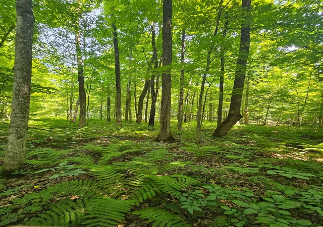 23rd image of 49 Acres 16th Ave, Cameron, WI 54822 | MLS# 7108829