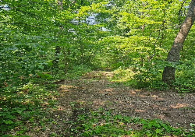 2nd image of 49 Acres 16th Ave, Cameron, WI 54822 | MLS# 7108829