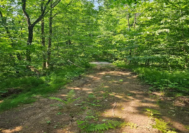 4th image of 49 Acres 16Th Ave, Cameron, WI 54822 | MLS# 7108829
