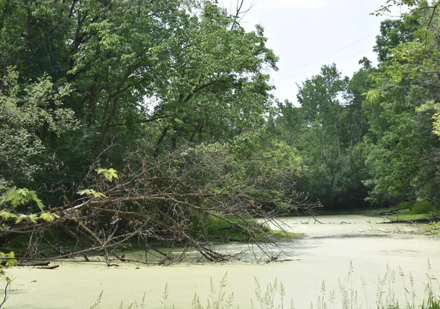 Photo 4 of Land for sale at 5470 Rowland Rd, Hopkins, MN 55343 | MLS# 7108838 | Listing updated on 2026-07-13