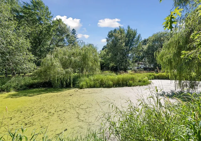 47th image of 17320 Staples St Ne, Andover, MN 55304 | MLS# 7109030