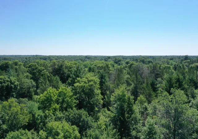 Homes for sale in Grantsburg, WI | 14722 Skog Rd, Grantsburg, WI 54840 | MLS# 7109178