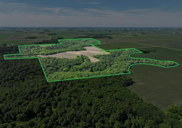 Photo 2 of Land for sale at 28242 225th Avenue, Sleepy Eye, MN 56085 | MLS# 7109258 | Listing updated on 2026-09-21