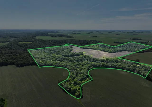 Photo 3 of Land for sale at 28242 225th Avenue, Sleepy Eye, MN 56085 | MLS# 7109258 | Listing updated on 2026-09-21