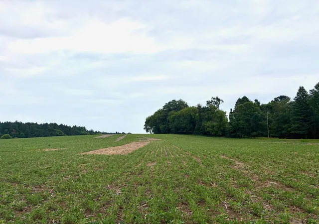 Photo 1 of Land for sale at Tbd (l3b1) Flamingo St Nw, Isanti, MN 55040 | MLS# 7109389 | Listing updated on 2026-09-21