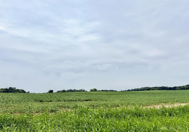 Photo 1 of Land for sale at Tbd (l3b2) Flamingo St Nw, Isanti, MN 55040 | MLS# 7109404 | Listing updated on 2026-09-21