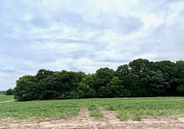 1st image of Tbd (l10b2) County Road 5 Nw, Isanti, MN 55040 | MLS# 7109438